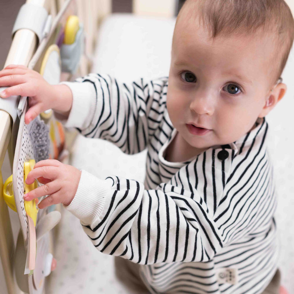 Taf Toys játékcenter Develop-mental Activity center - Image 6