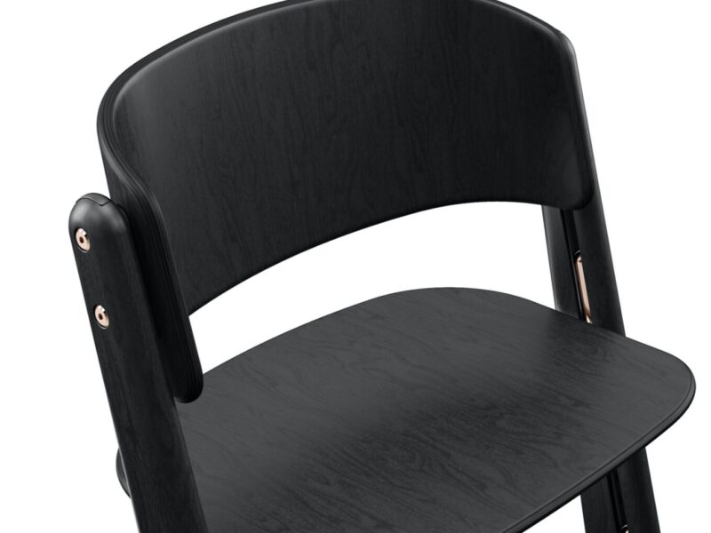 cyb_24_int_deta_lemoplatinumchair_blwo_backrest_19108e7e3509a370