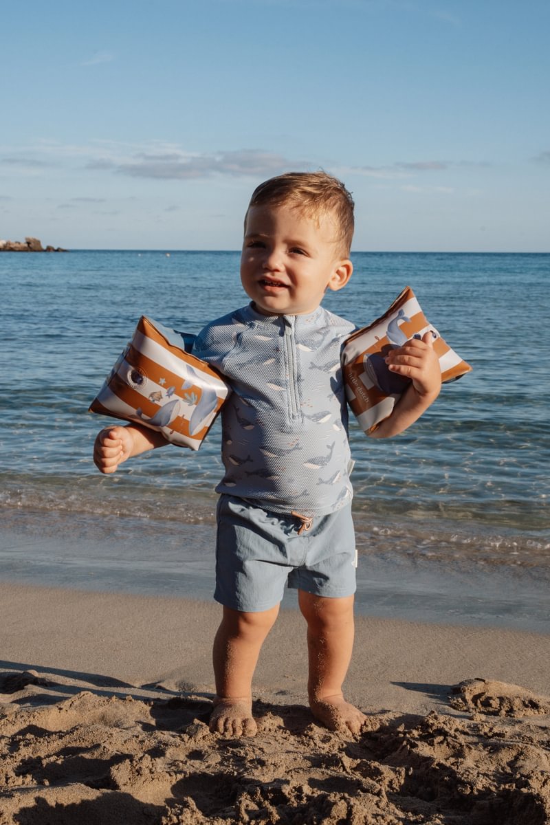 Little Dutch karúszó - Ocean World - Image 3