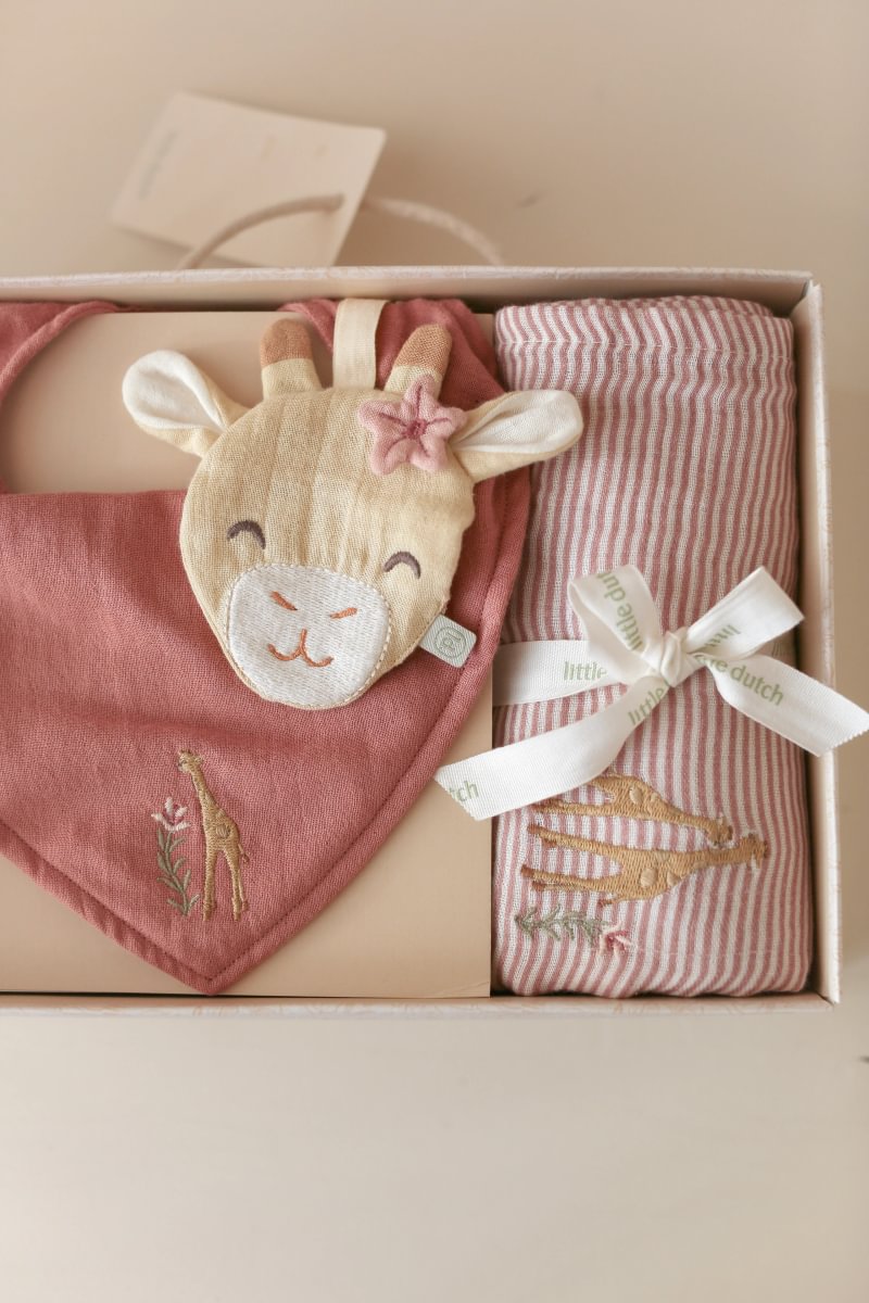 gift-box-giraffe-pink-TE52256047-1 - Medium