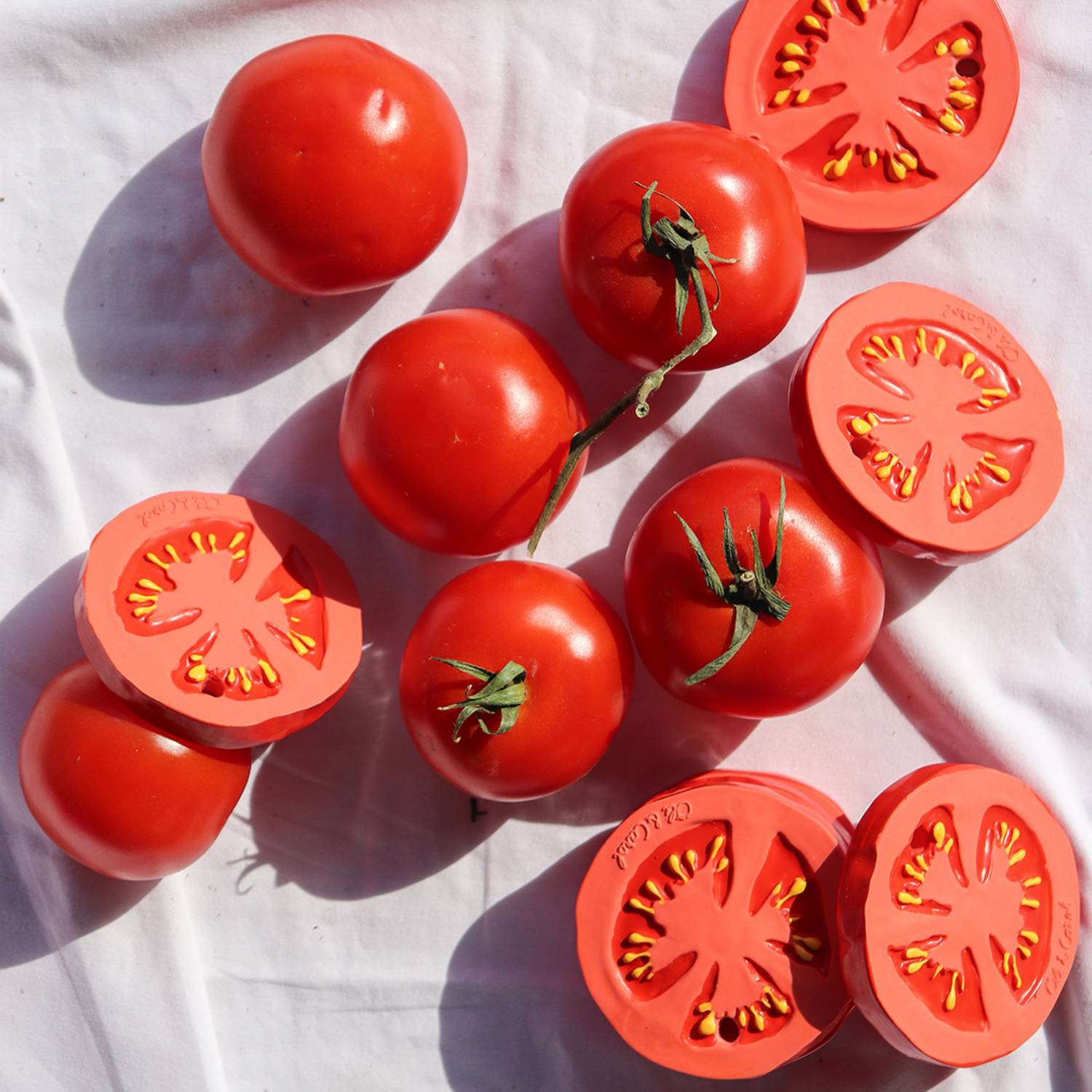 Renato the Tomato-4